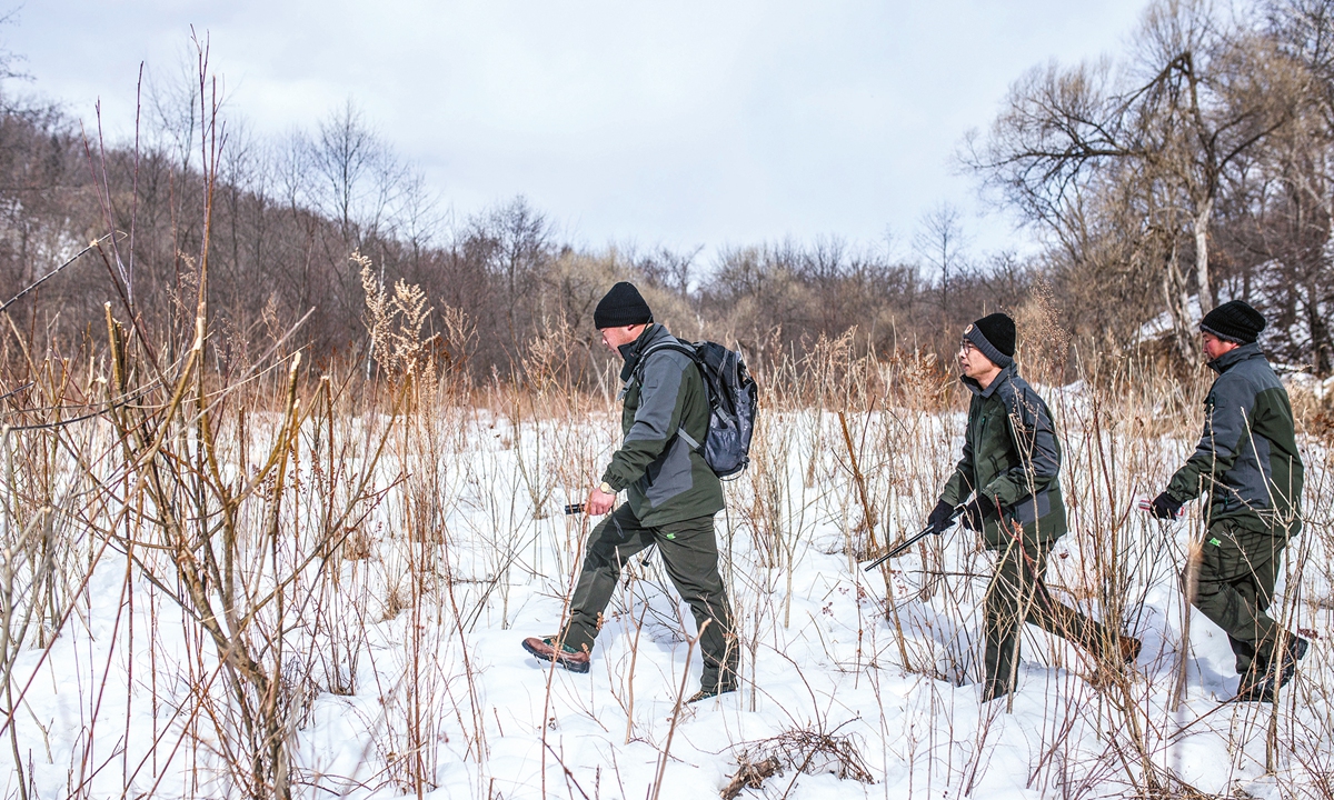 Rangers patrol the Northeast Tiger and Leopard National Park in February 2023 in Northeast China's Hunchun, Jilin Province. Photo: Shan Jie/GT