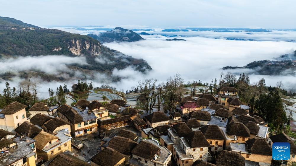 An aerial drone photo taken on Feb. 26, 2025 shows a view of the terraced fields and traditional Hani houses, known locally as mushroom houses, in Azheke Village of Yuanyang County of Honghe Hani and Yi Autonomous Prefecture, southwest China's Yunnan Province. (Photo: Xinhua)