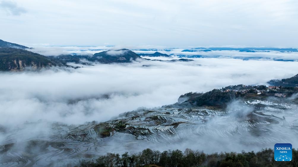 An aerial drone photo taken on Feb. 26, 2025 shows a view of the terraced fields in Azheke Village of Yuanyang County of Honghe Hani and Yi Autonomous Prefecture, southwest China's Yunnan Province. (Photo: Xinhua)